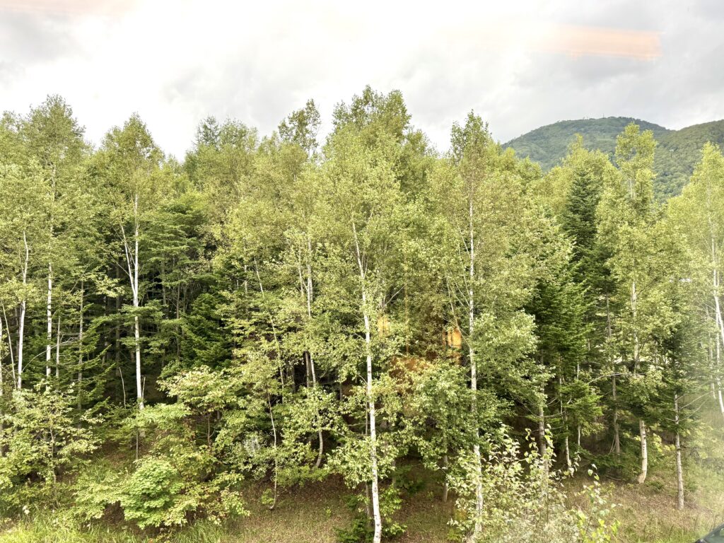 東山ニセコビレッジ・リッツ・カールトン・リザーブの客室からの景色