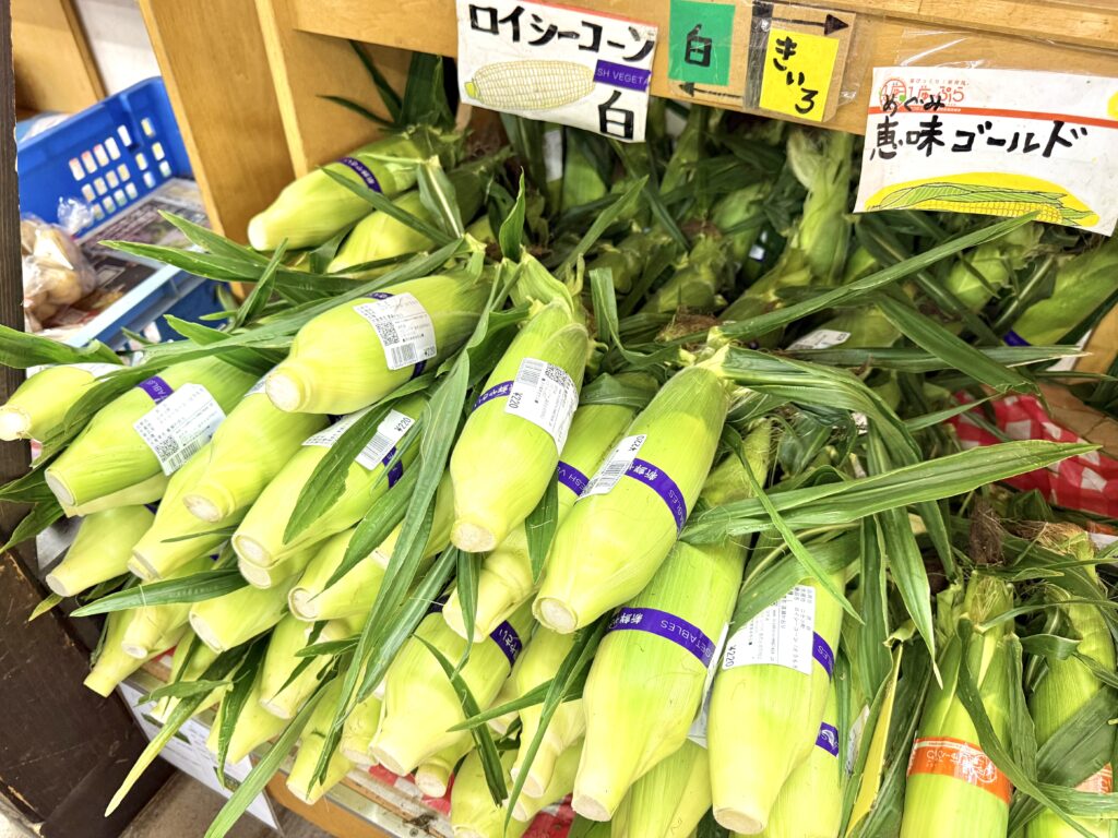 道の駅ニセコビュープラザ